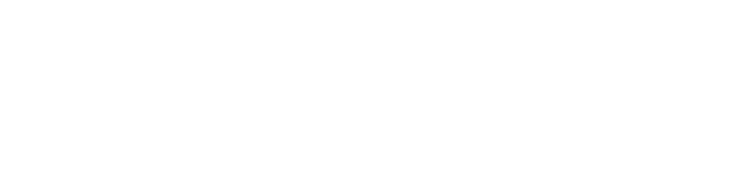 PIZZA REVOLUTION